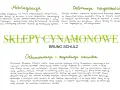 Sklepy cynamonowe streszczenie: Dehumanizacja i degradacja człowieka. Bruno Schulz ukazuje mroczne obsesje, sprowadzając ludzi do rangi manekinów i mięsa.