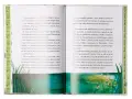Otwarta książka z tekstem o przygodach Julka i chłopców. W tle ilustracja z trawą i wodą, gdzie pływają kaczki. "Lata inowłodzkie" - najszczęśliwsze wspomnienia.