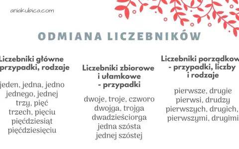 Odmiana liczebników: główne (jeden, trzy), zbiorowe (dwoje, trojga) i porządkowe (pierwsze, drudzy).