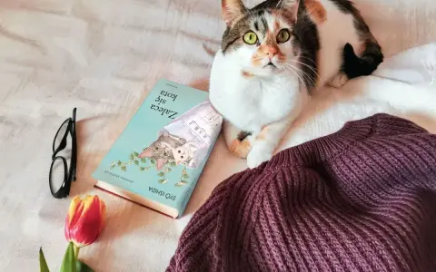Koty na okładce książki "Zaleca się kota" idealnie pasują do tej przytulnej scenki z kotem, okularami i tulipanem.