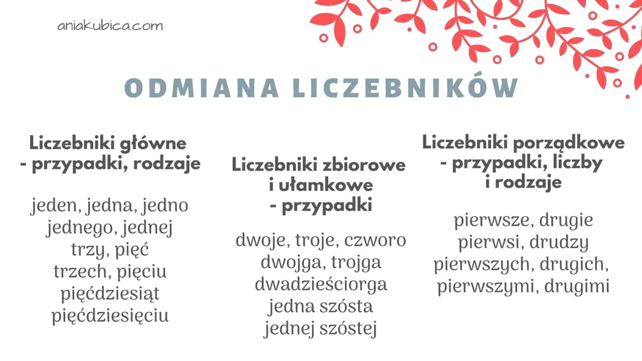 Odmiana liczebnik&oacute;w: gł&oacute;wne (jeden, jedna), zbiorowe (dwoje, troje) i porządkowe (pierwsze, drugie).