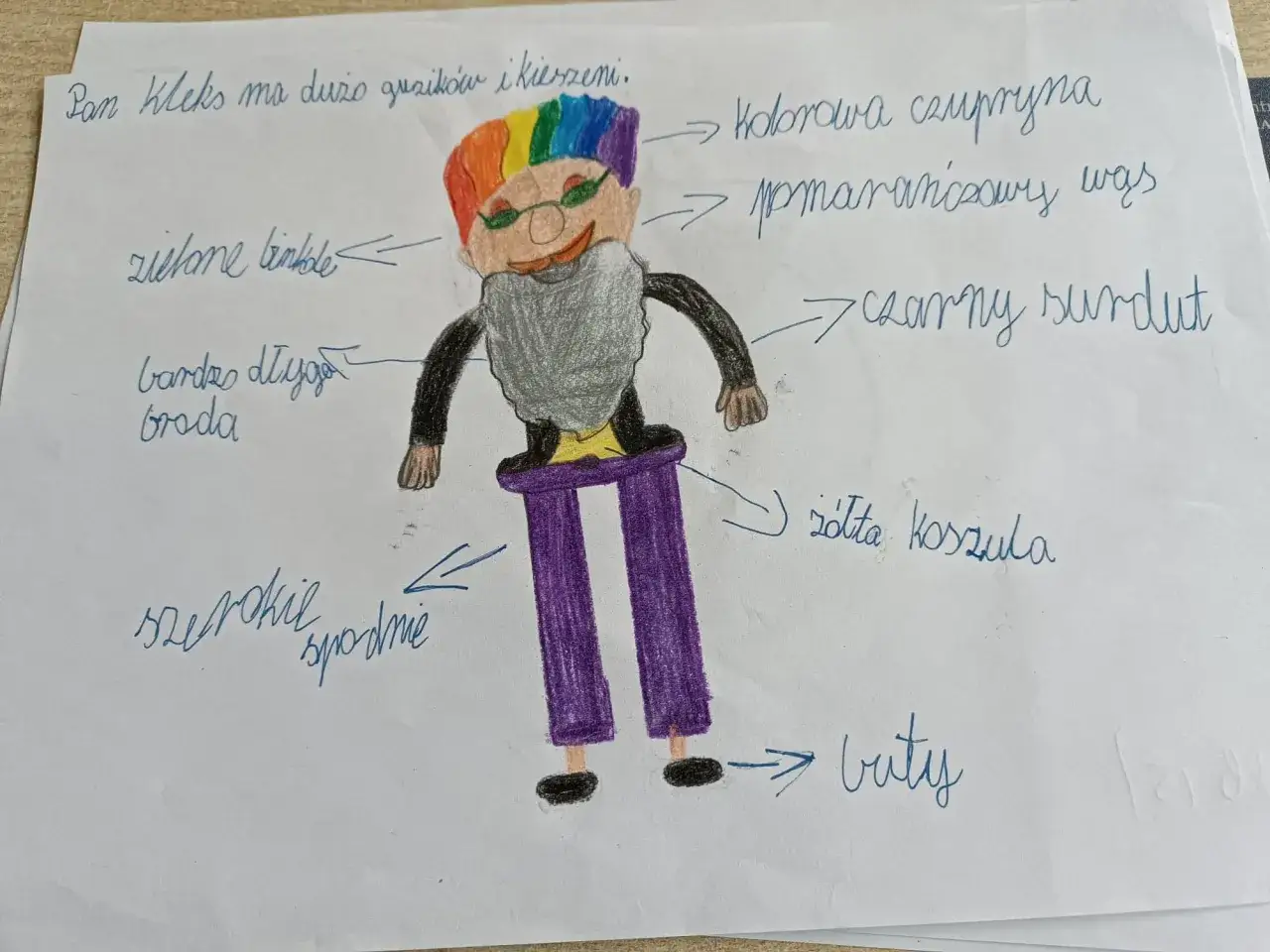 Opis Pana Kleksa: tęczowa czupryna, pomarańczowy wąs, zielone finkle, szary surdut, żółta koszula, szerokie spodnie, czarne buty.